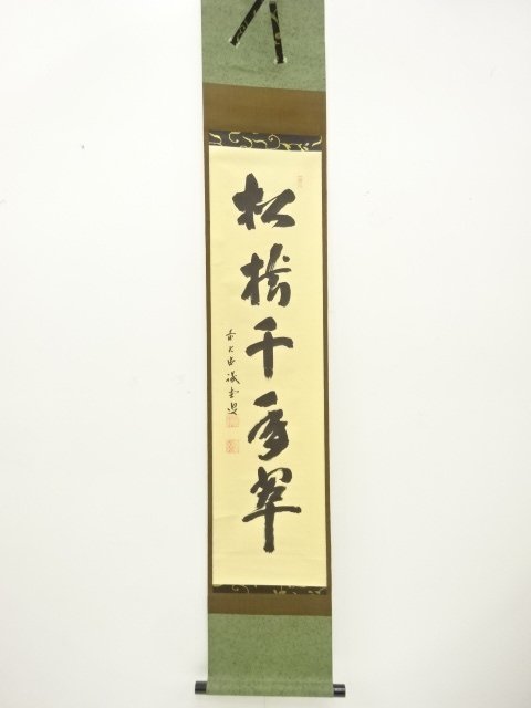 JAPANESE COLLECTIBLE / PINE TREE THOUSAND YEAR GREEN